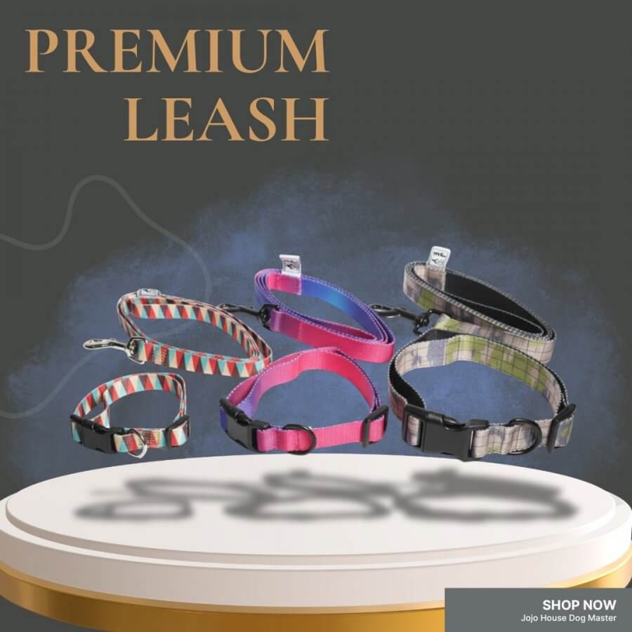 สายจูงสุนัข Premium Leash