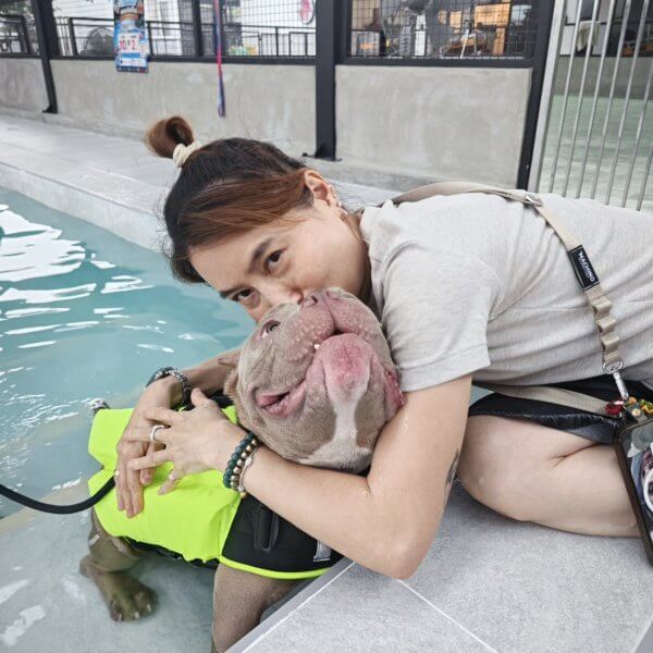 สระว่ายน้ำสุนัข Jojo House Dog Master