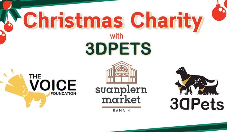 Christmas Charity with 3DPets