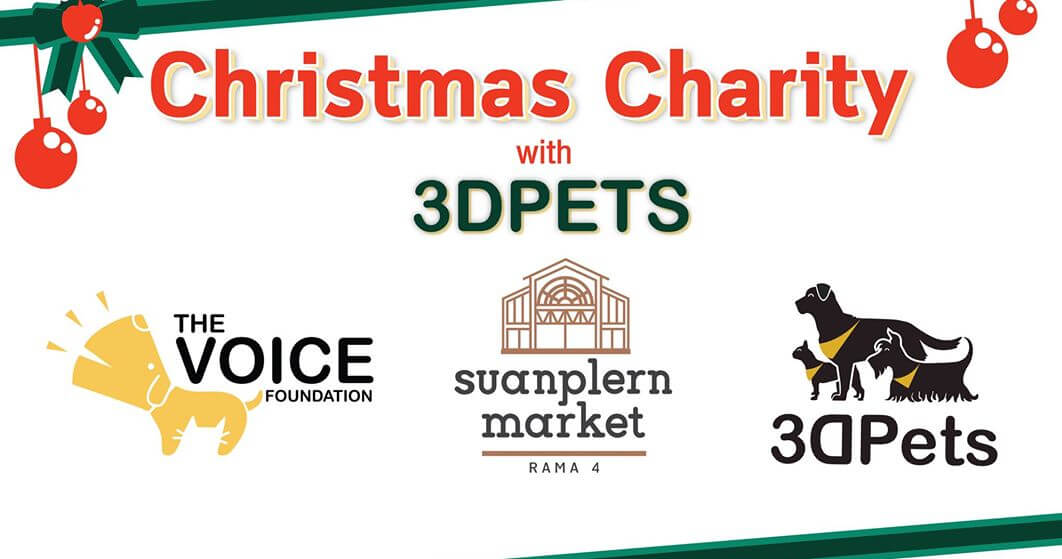 Christmas Charity with 3DPets