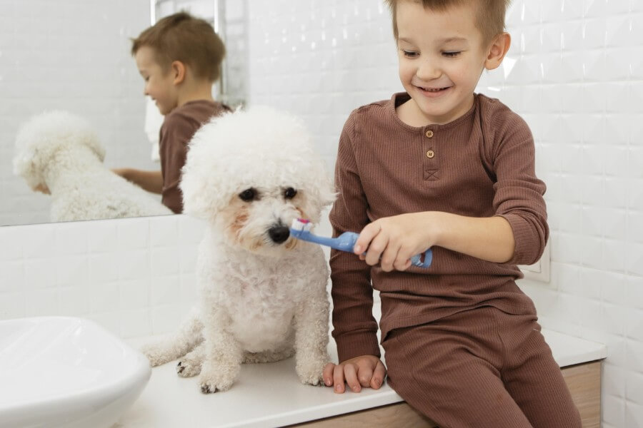เลี้ยงสุนัขในบ้าน้องสะอาดไม่เว้นแม้กระทั่งช่องปาก