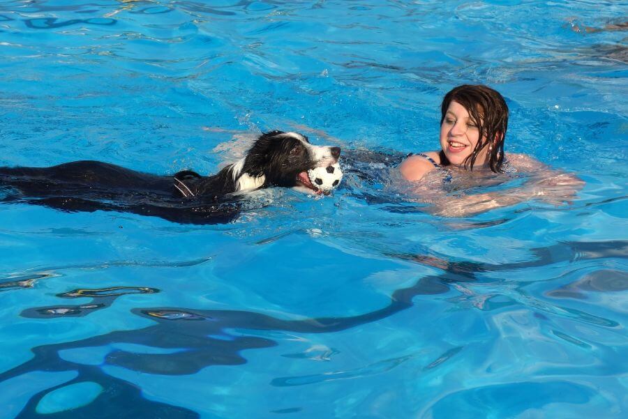 การว่ายน้ำช่วยฝึกให้สุนัขไว้ใจมนุษย์มากขึ้น