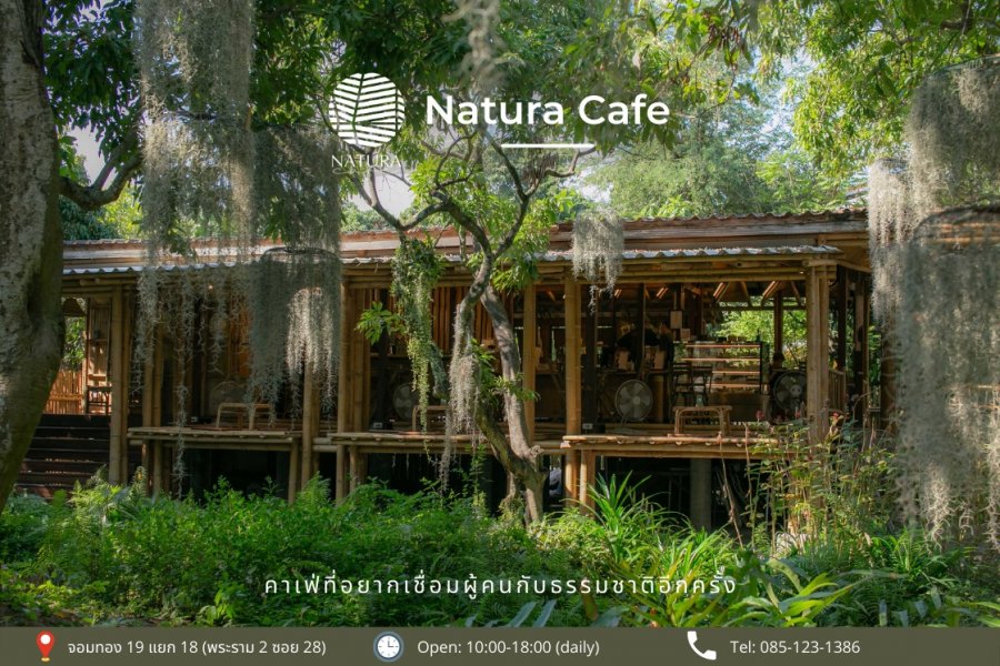 รวม13คาเฟ่สุนัขเข้าได้_Natura Cafe