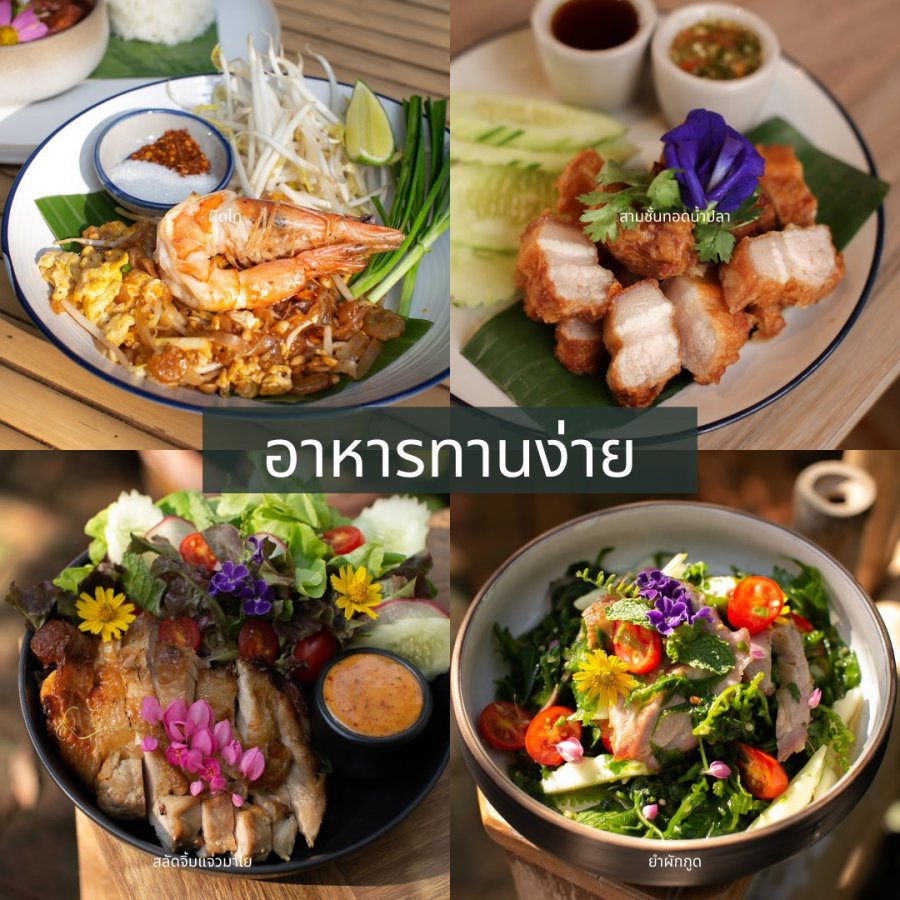 รวม13คาเฟ่สุนัขเข้าได้_Natura Cafe