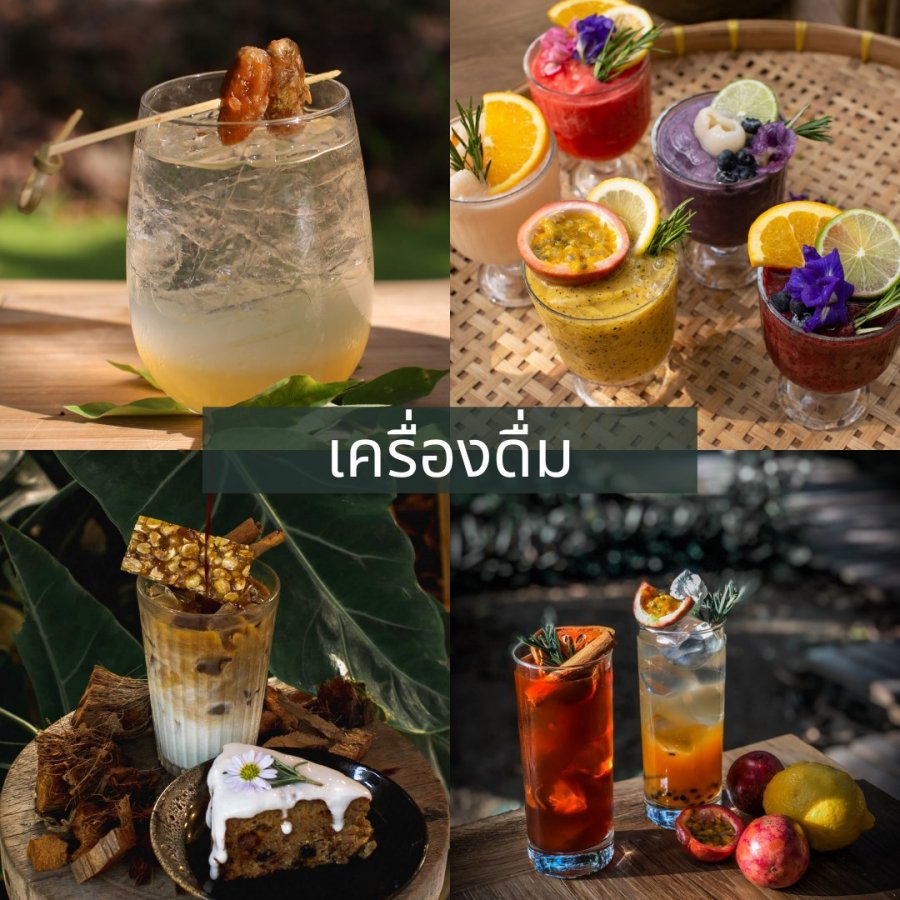 รวม13คาเฟ่สุนัขเข้าได้_Natura Cafe