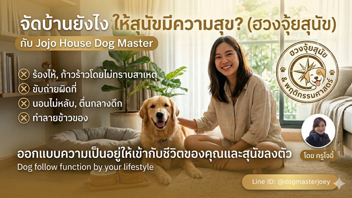 ฮวงจุ้ยสุนัข