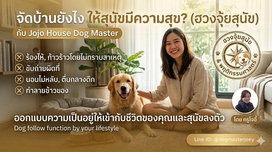 ฮวงจุ้ยสุนัข