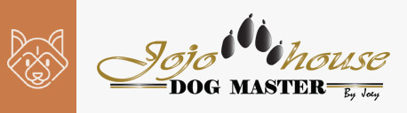 โรงเรียนฝึกสุนัข Jojo House Dog Master